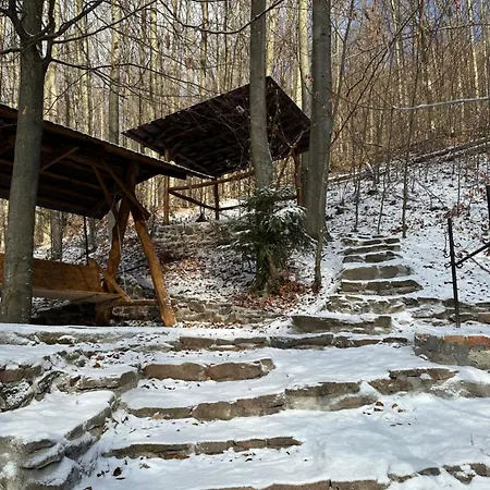 будинок у горах * Tur'ya Paseka